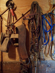 Inside the Barn