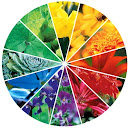 Serenity in the Garden