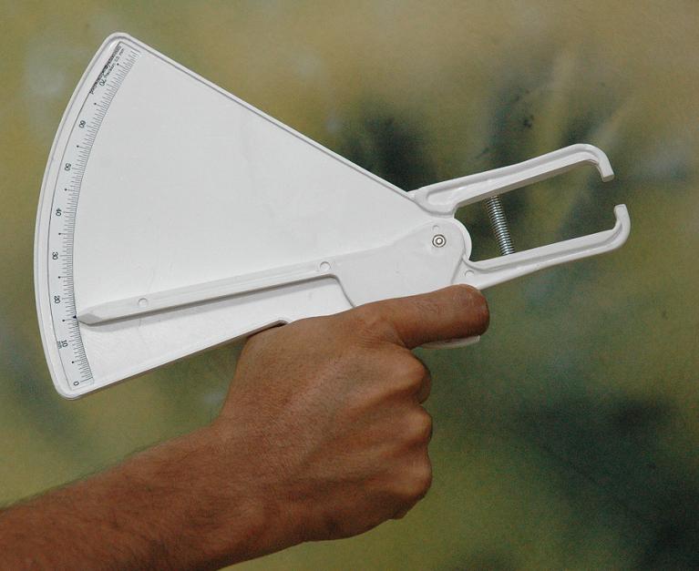 [Pooya_Body_Fat_Caliper.jpg]