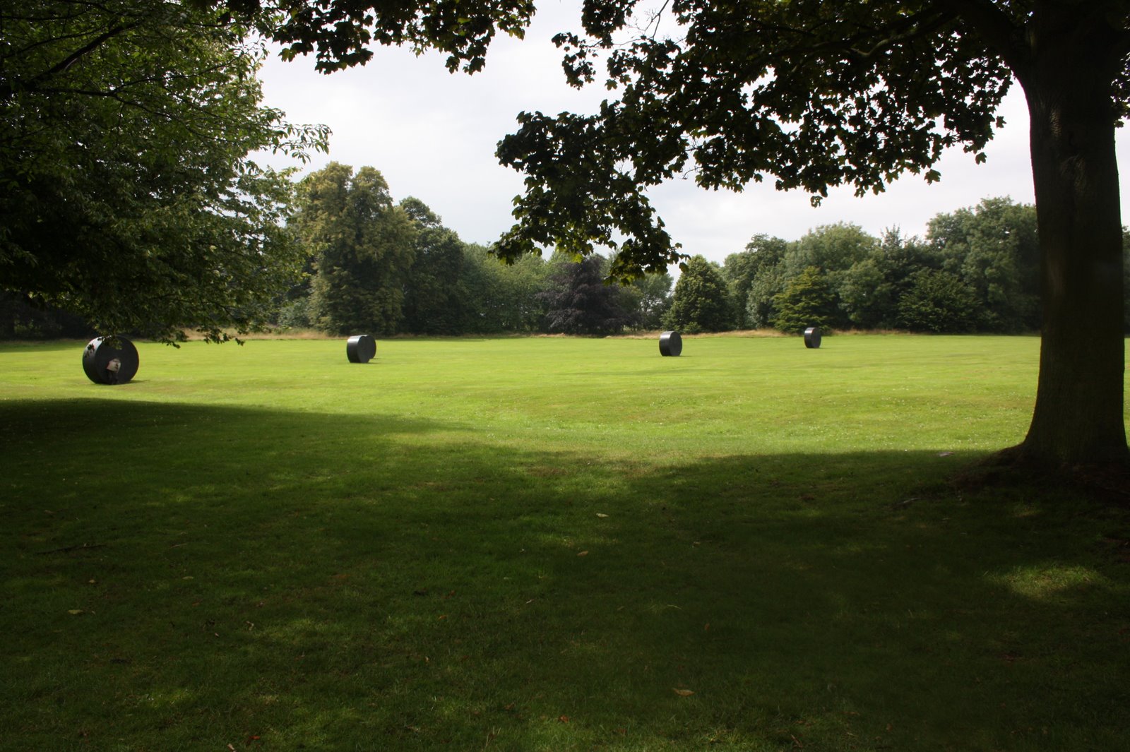 [IMG_9275.JPG]