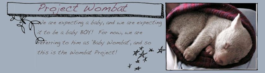 Project Wombat