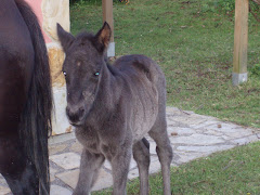 Runa2