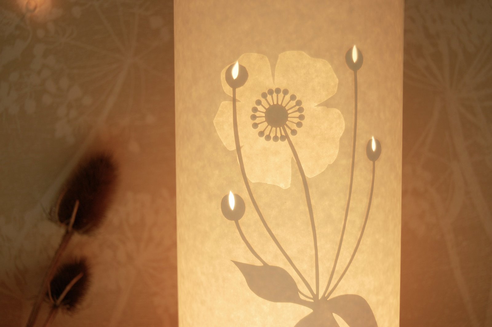 [anemone_closeup.jpg]