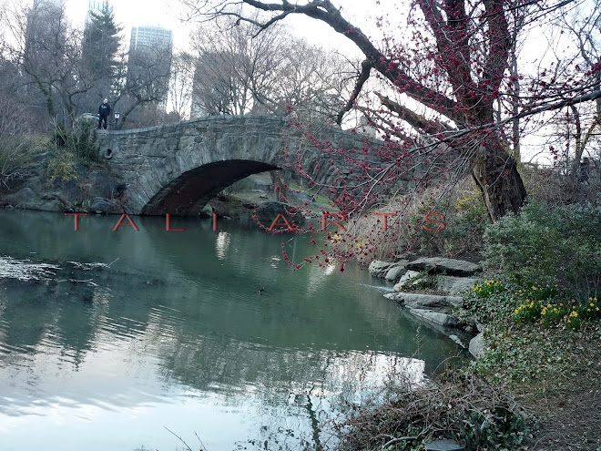 Central Park, NYC