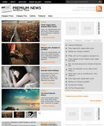 Premium News Theme from WooThemes