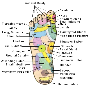 Secret to Grow Taller: Increase Height with Reflexology