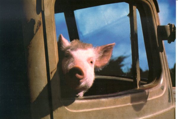 [btruck.jpg]