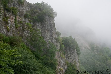 [Cliff-Face.jpg]