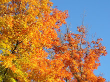 Colour