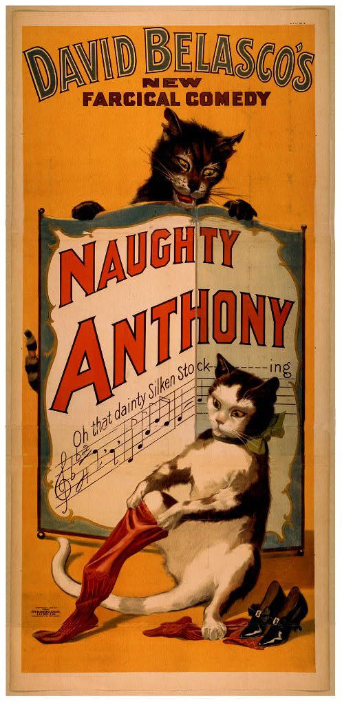 [cat+naughty+2_fixed.jpg]
