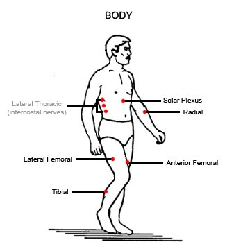 Pressure Points To Knock Someone Out Chart