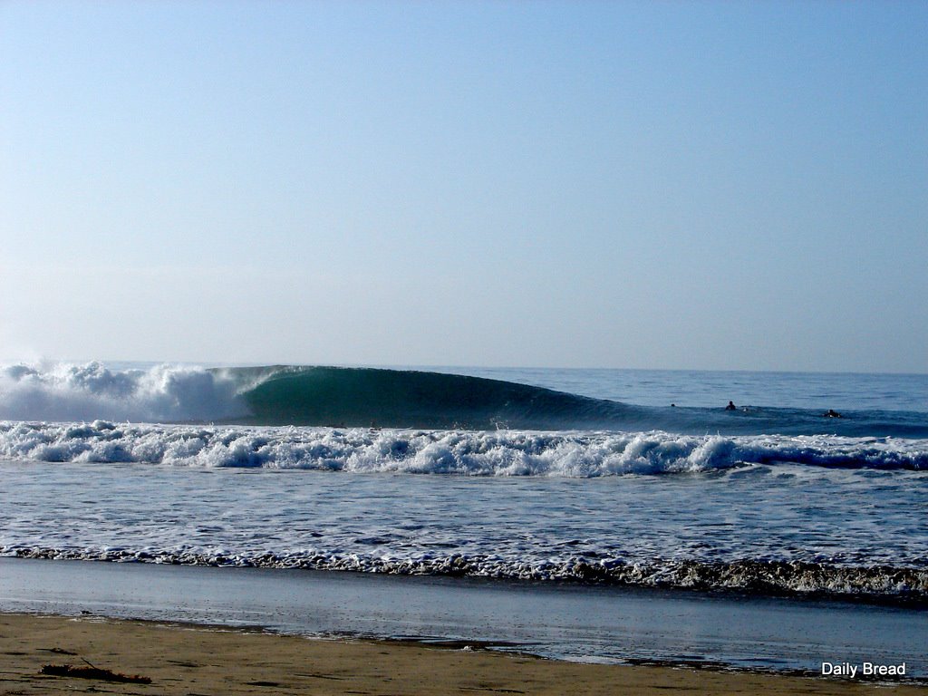 [DSC01513.JPG]