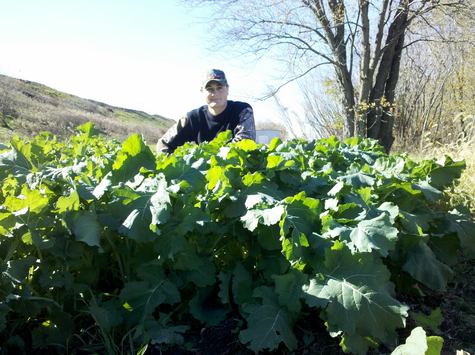 HUNT PLOTS INC. Precision Hunting Over Food Plots