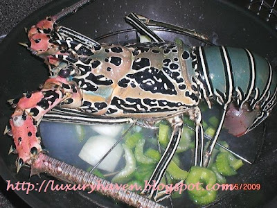 steaming lobster