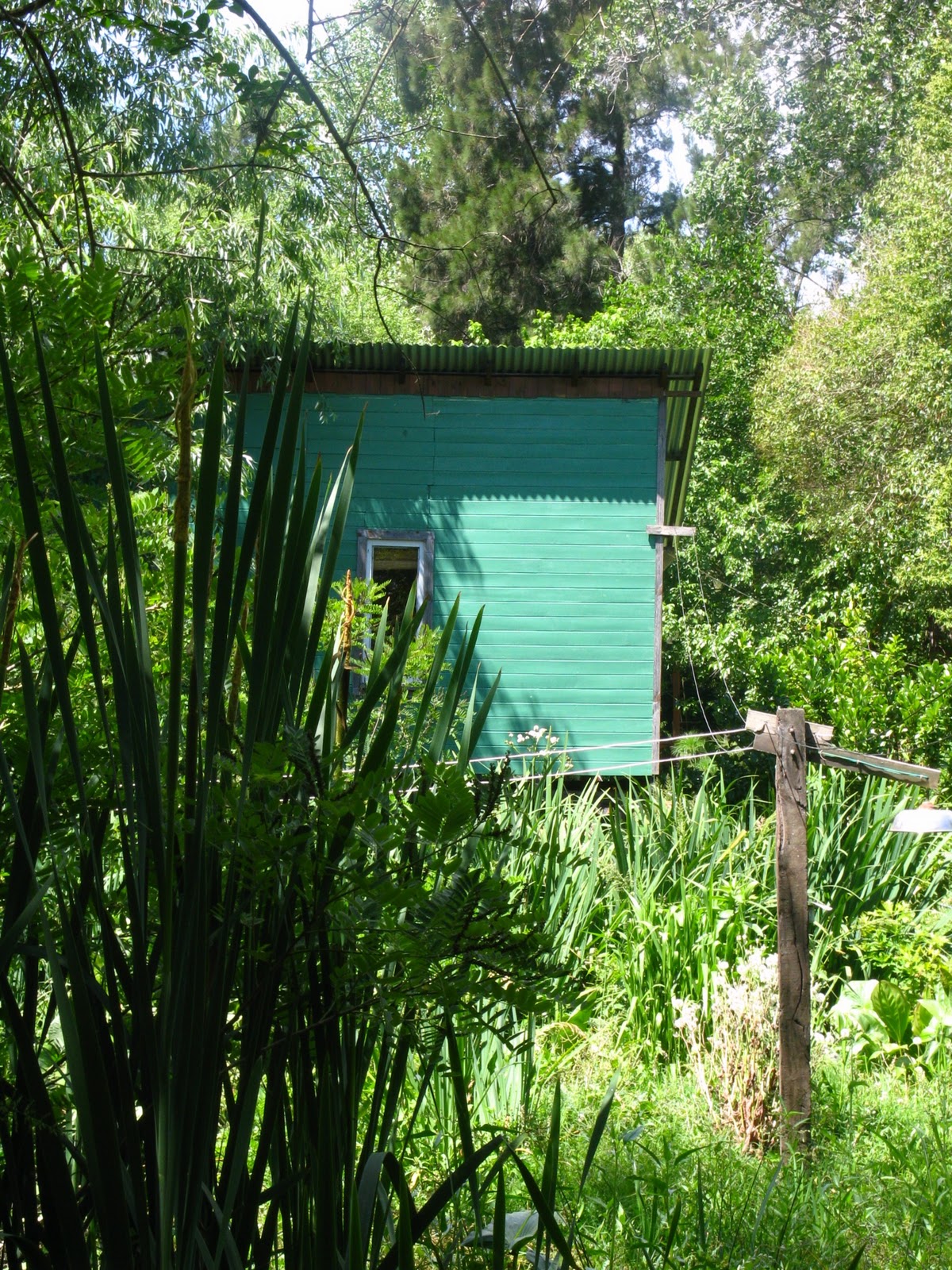 Casa Feliz: Delta UNO