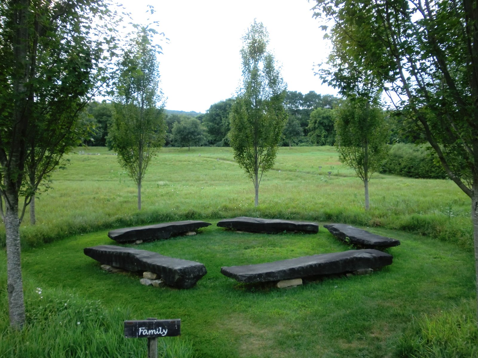 10 Minutes Each Day in an Unreasonable Manner More from the Path of