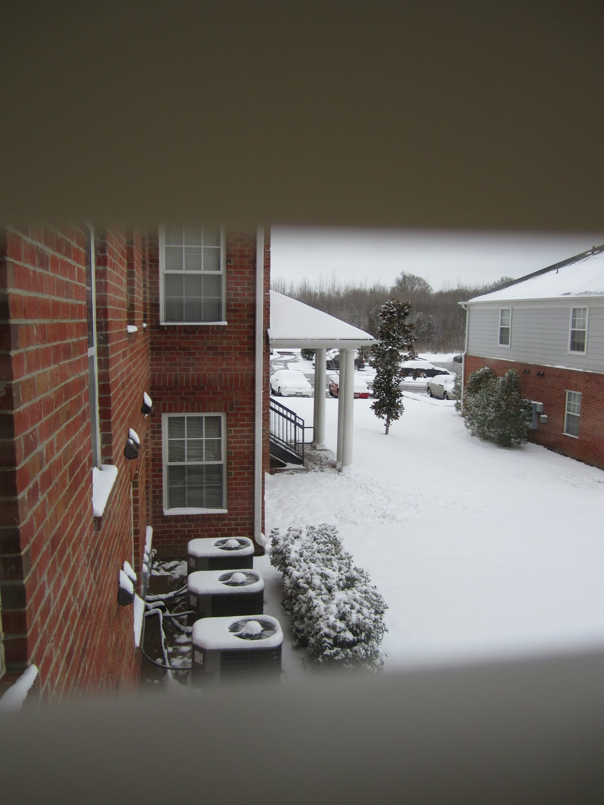 Pieces from our Lives Snow in Mississippi...... Everything is Shut Down