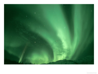 [WWFTransArctic7]