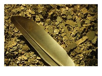 [Feather1]