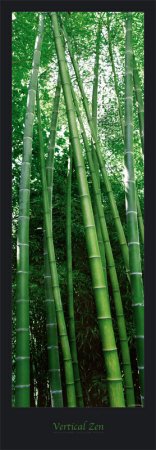 [Bamboo1]