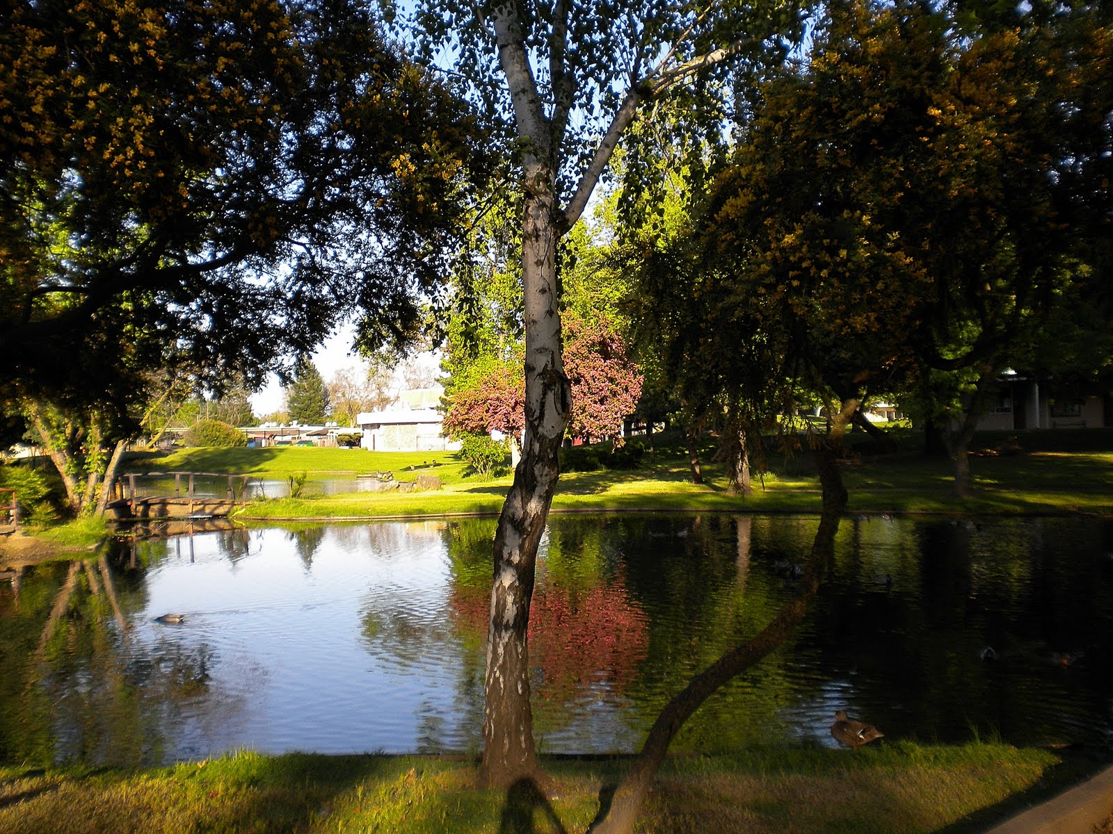 to Miscellanea..... Hagan Community Park