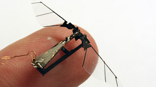 Best News Host: Robotic Insects Serve In The Army
