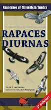 Rapaces diurnas