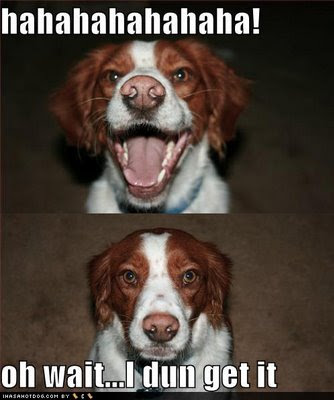 image: loldog-jokes-hahahahahaha