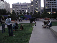 Dog Walk Downtown L.A.