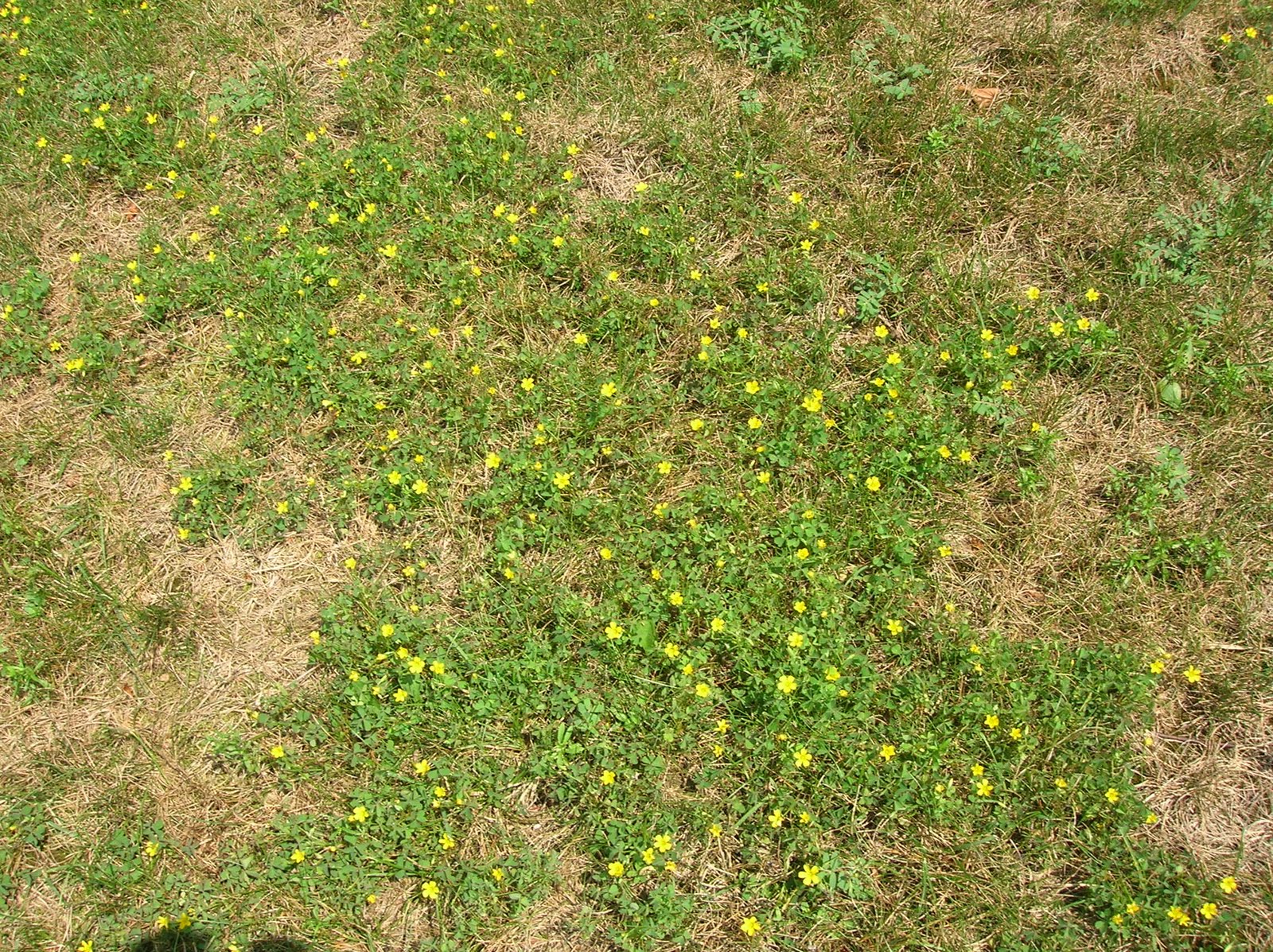 Viki's Place AlphabeThursday