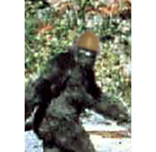 [bigfoot.jpg]