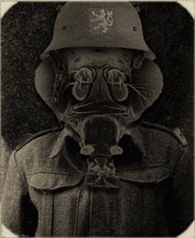 [Gregorio+Casco+defini.jpg]