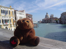 Teddy bear in Venezia