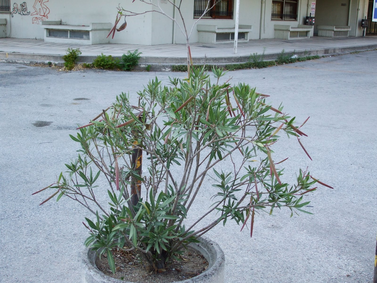 [DSCF0521.JPG]