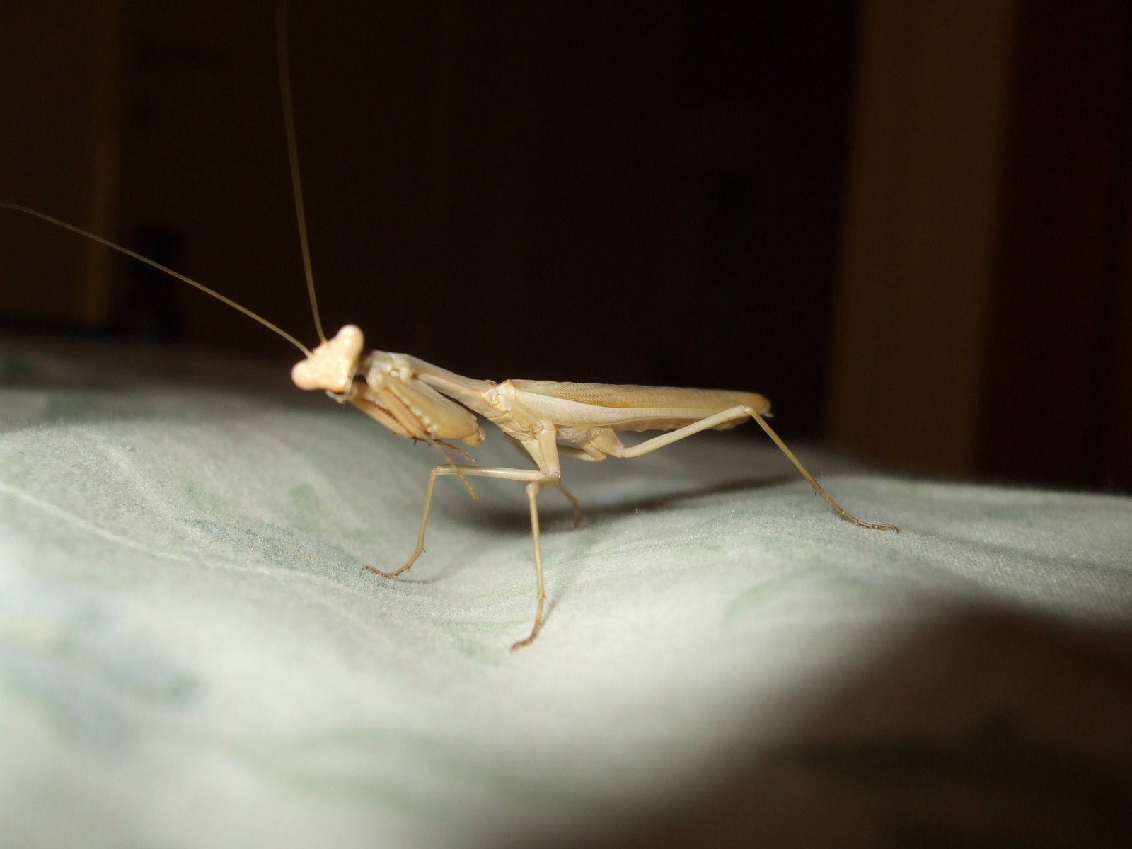 [DSCF0665.JPG]