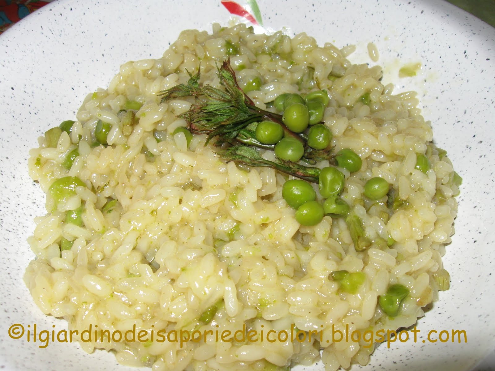 Risotto con asparagi selvatici