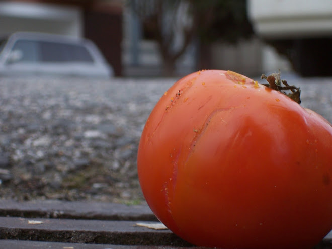 Tomatoe 11