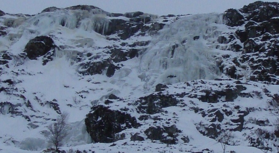 [P2280016.JPG]