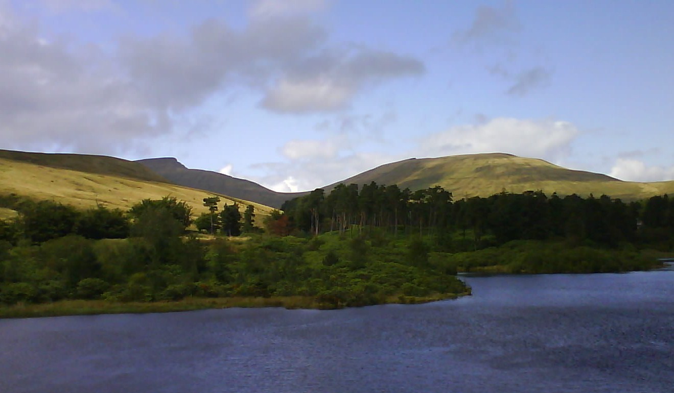 [DSC00081.JPG]