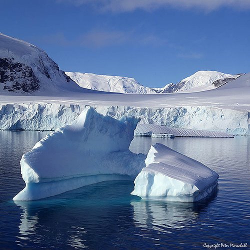 [Antártica+19.jpg]