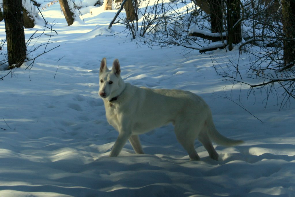 [IMG_3883.JPG]
