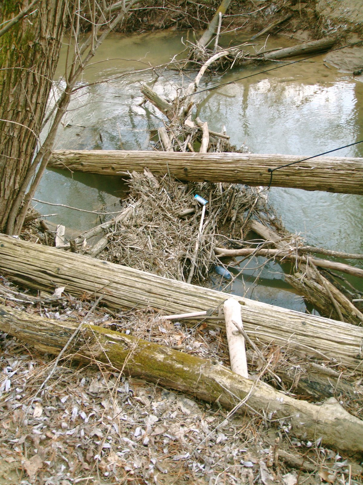 [DSC03855.JPG]