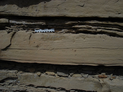 NOLÖGIC: Ichnology and Sequence Stratigraphy. Part A: The Ferron Sandstone