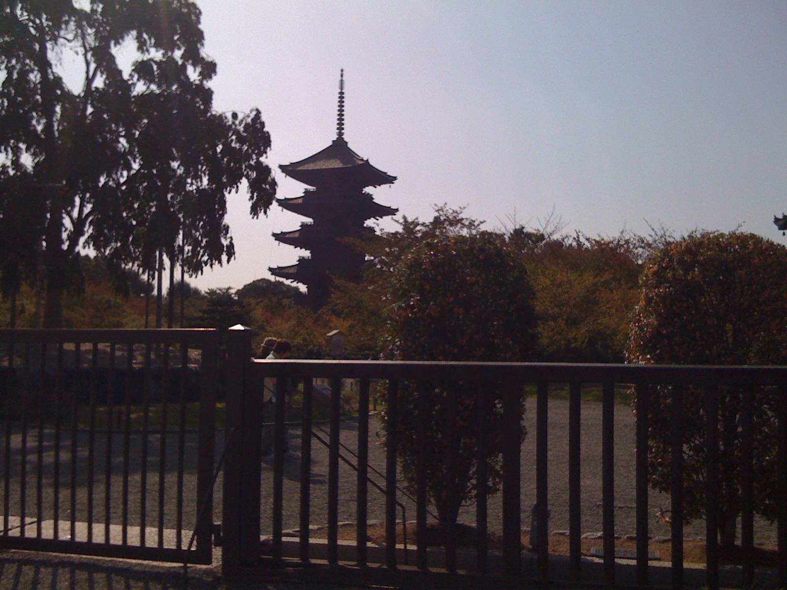[IMG_0294.JPG]