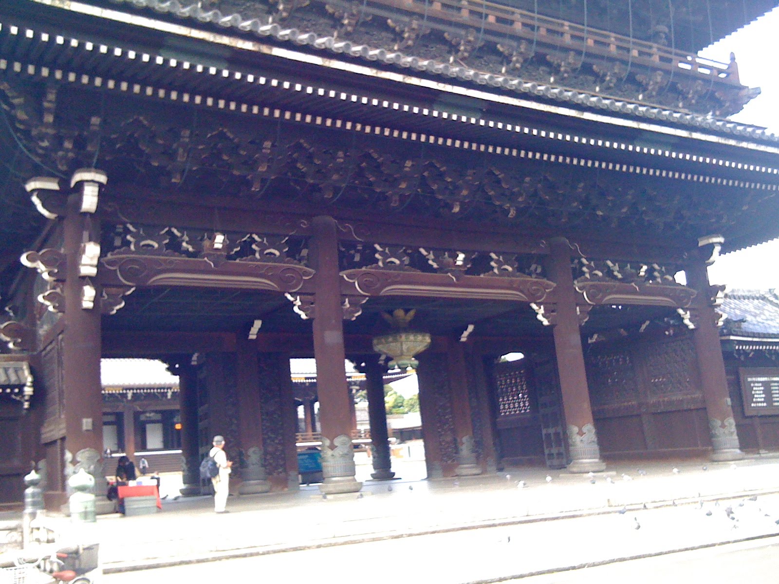 [IMG_0305.JPG]