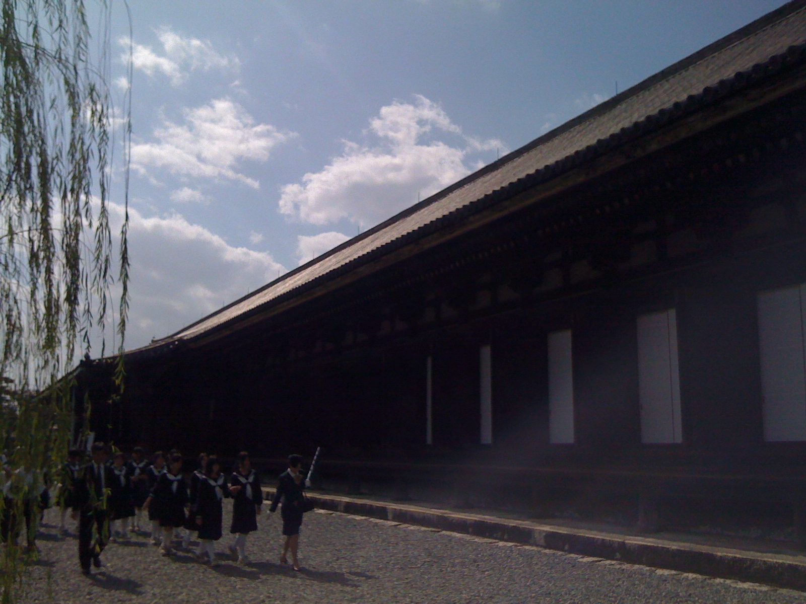 [IMG_0311.JPG]