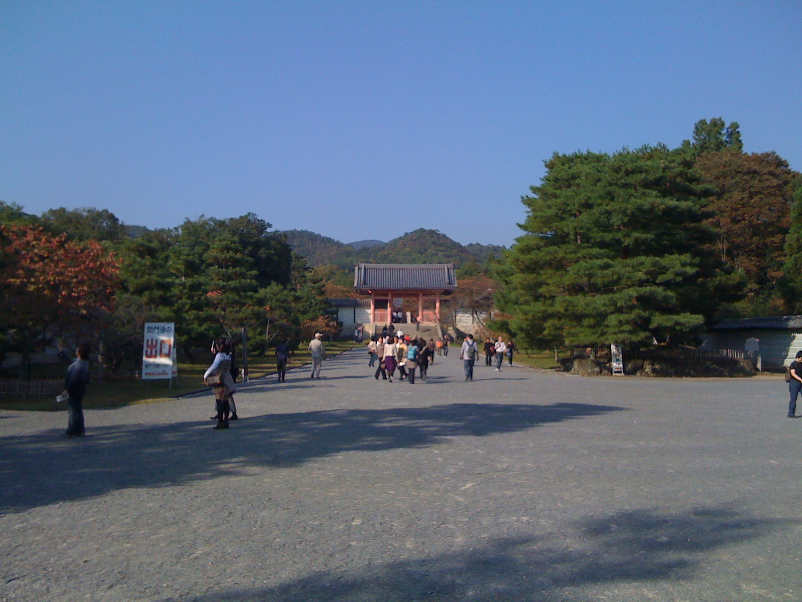 [IMG_0364.JPG]