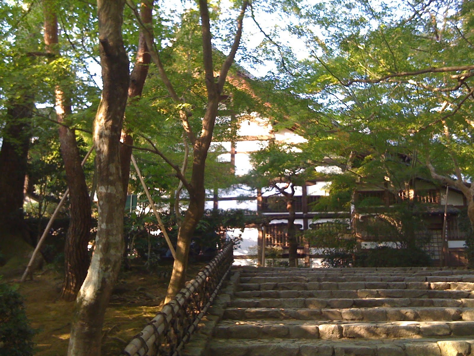 [IMG_0378.JPG]