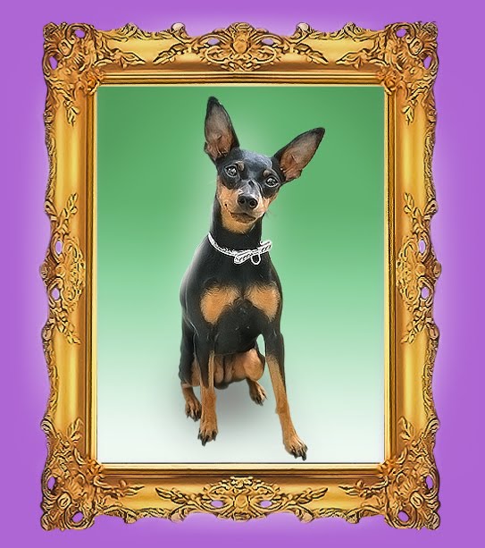 Cuadros, escenas, impresiones, ideas El kitsch