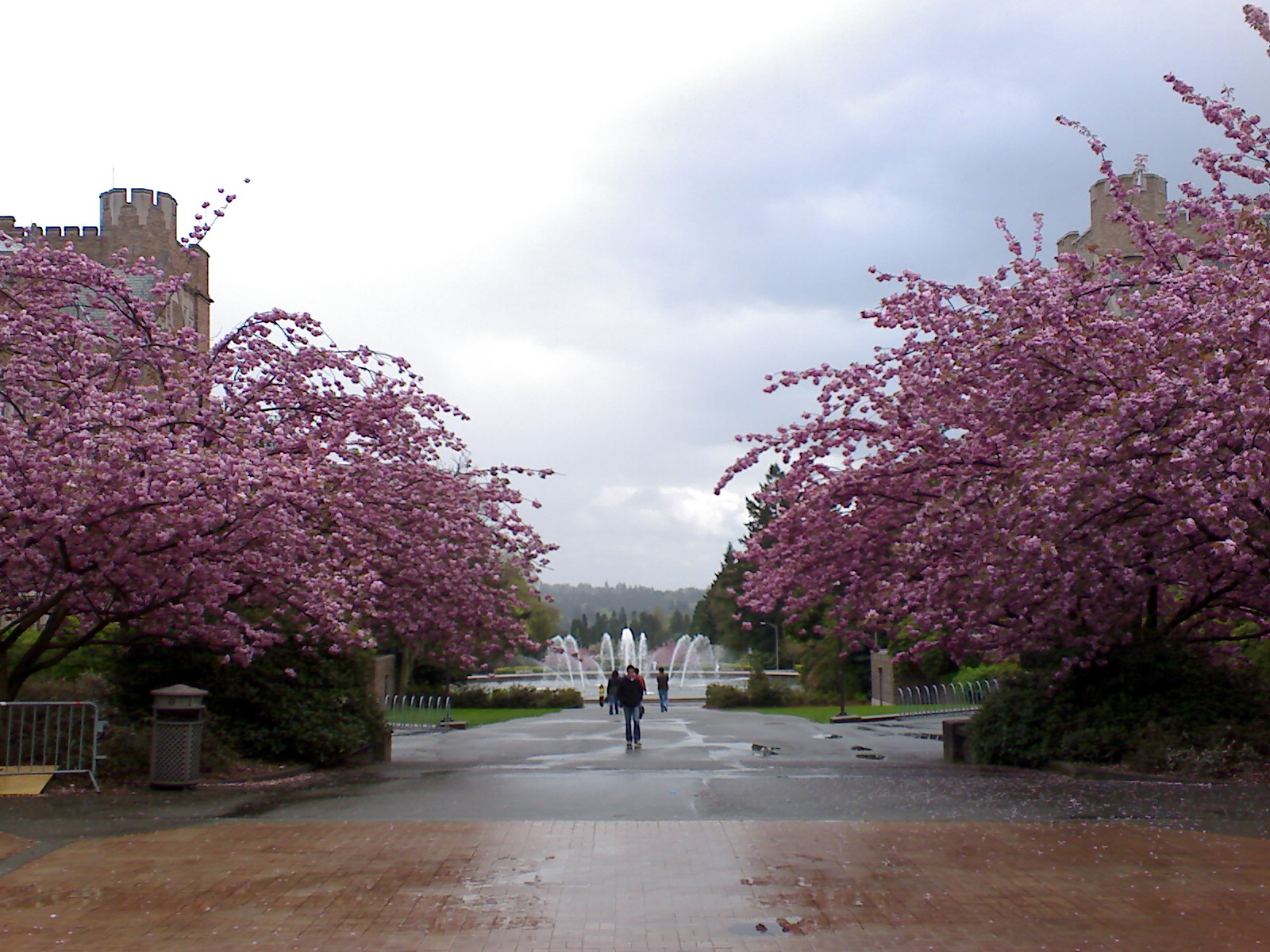 [DSC00036.JPG]